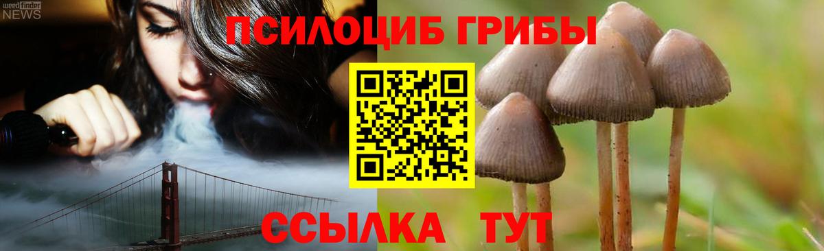 Псилоцибиновые грибы мухоморы  Вход с VPN  где можно купить наркотик  Зеленокумск  Псилоцибиновые грибы прущие грибы 
